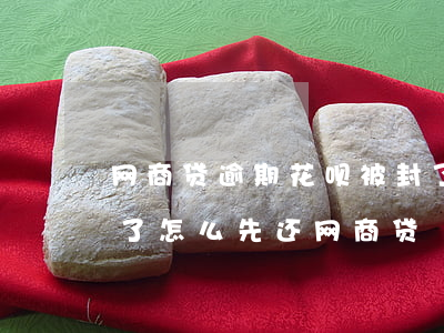 网商贷逾期花呗被封了(花呗和网商贷都逾期了怎么先还网商贷)
