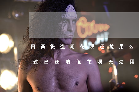 网商贷逾期花呗还能用么(支付宝网商贷逾期过,已还清,但花呗无法用)