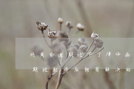 网商贷逾期被下了律师函会怎样-网商贷逾期被起诉后能有解决的办法吗
