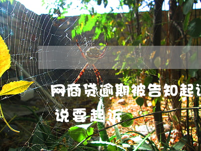 网商贷逾期被告知起诉(网商贷逾期一个多月说要起诉)