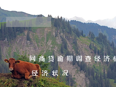 网商贷逾期调查经济情况(网贷逾期说要调查经济状况)