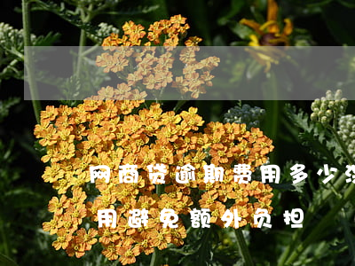 网商贷逾期费用多少，深入了解网商贷逾期费用，避免额外负担！