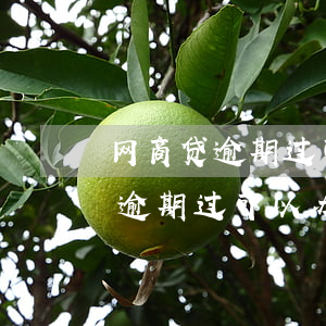 网商贷逾期过可以办信用卡吗兴业-网商贷逾期过可以办信用卡吗兴业银行