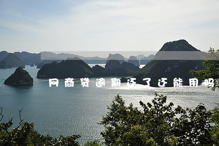 网商贷逾期还了还能用吗