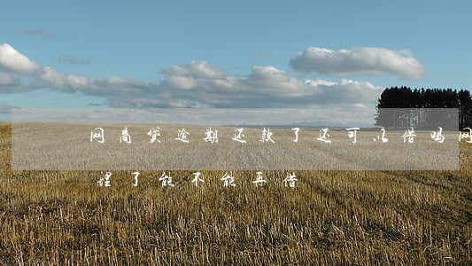 网商贷逾期还款了还可以借吗（网商贷逾期处理了能不能再借）