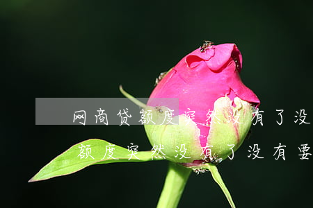 网商贷额度突然没有了没有要还款-网商贷额度突然没有了没有要还款怎么办