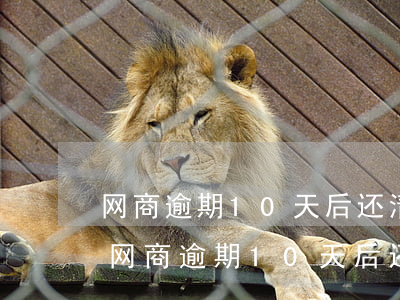 网商逾期10天后还清、为什么不能贷了-网商逾期10天后还清,为什么不能贷了呢