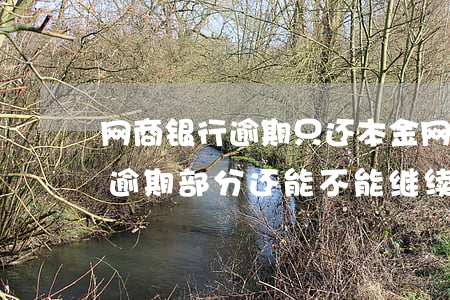 网商银行逾期只还本金 网商银行逾期后还了逾期部分还能不能继续分期