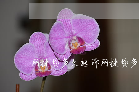 网捷贷多久起诉 网捷贷多久能到账