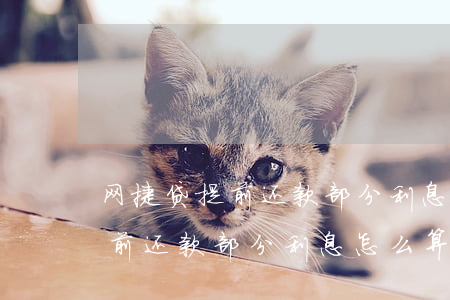 网捷贷提前还款部分利息怎么算-网捷贷提前还款部分利息怎么算的