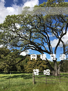 网捷贷逾期影响-网捷贷逾期还款后还能再贷吗