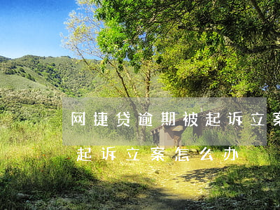 网捷贷逾期被起诉立案怎么办(网捷贷逾期被起诉立案怎么办)