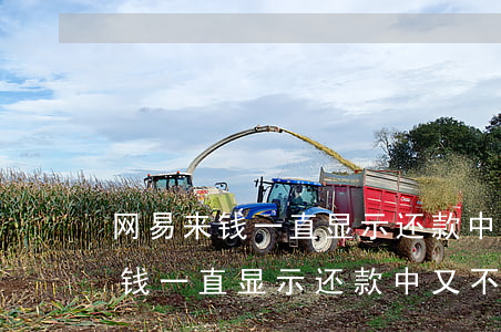 网易来钱一直显示还款中又不扣款-网易来钱一直显示还款中又不扣款怎么回事