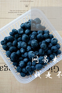 网易来钱欠的钱不还能行吗(网易支付里的来钱是不是没有了)
