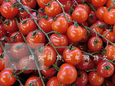 网欠网贷三年(网贷欠了三年了要还么)