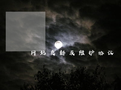 网站更新及维护协议