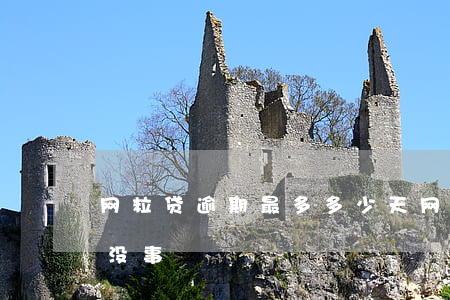 网粒贷逾期最多多少天(网贷最长逾期多少天没事)