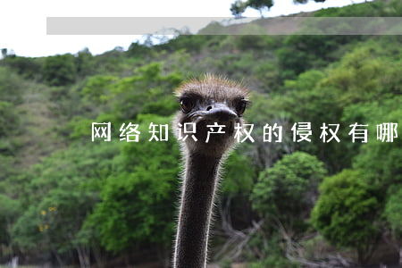 网络知识产权的侵权有哪些行为方式