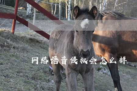 网络语音侵权会怎么样