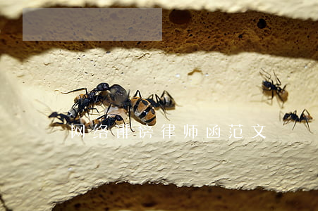 网络诽谤律师函范文