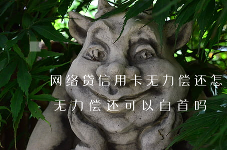 网络贷信用卡无力偿还怎么办(欠信用卡网贷无力偿还可以自首吗?)