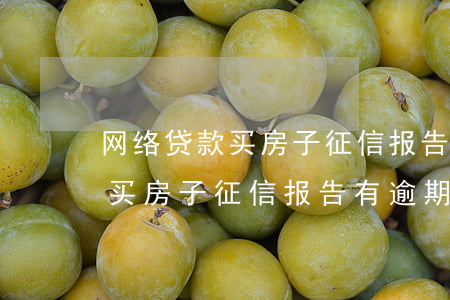 网络贷款买房子征信报告有逾期了 网络贷款买房子征信报告有逾期了会影响吗