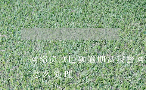 网络贷款巨额逾期费报警(网贷逾期高额利息怎么处理)