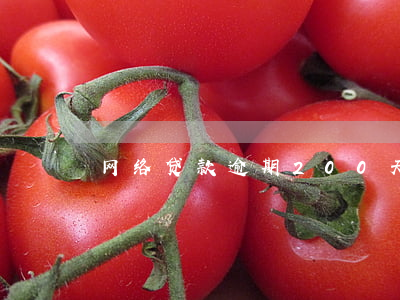 网络贷款逾期200天(网贷逾期10天)
