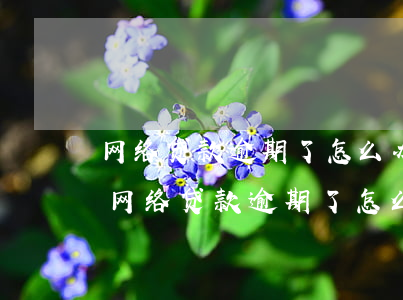 网络贷款逾期了怎么办又没钱还会坐牢吗?-网络贷款逾期了怎么办又没钱还会坐牢吗知乎