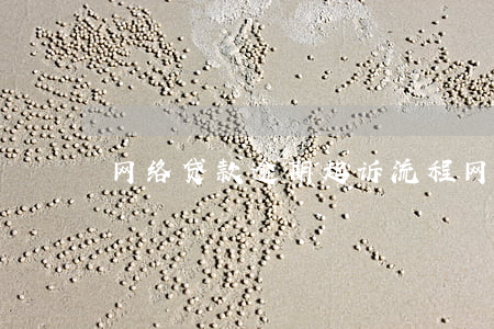 网络贷款逾期起诉流程(网贷逾期起诉书)