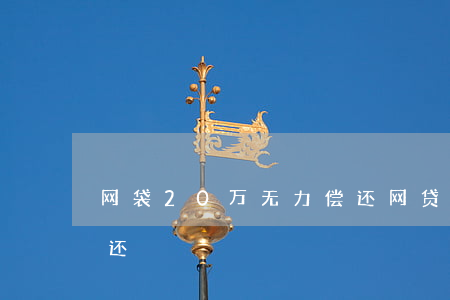 网袋20万无力偿还 网贷欠20多万无力偿还
