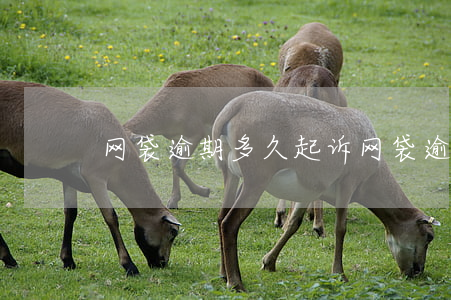网袋逾期多久起诉(网袋逾期多久会被起诉)