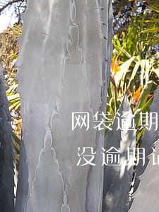 网袋逾期立案起诉有多少时间还款(网贷结清没逾期记录保存多久)