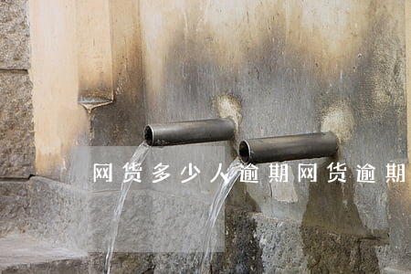 网货多少人逾期(网货逾期多少天后上征信)