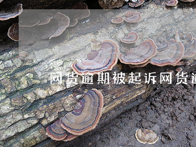 网货逾期被起诉 网货逾期被起诉