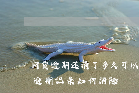 网货逾期还清了多久可以消除信用(网贷信用逾期记录如何消除)
