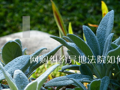 网购纠纷异地法院如何传票