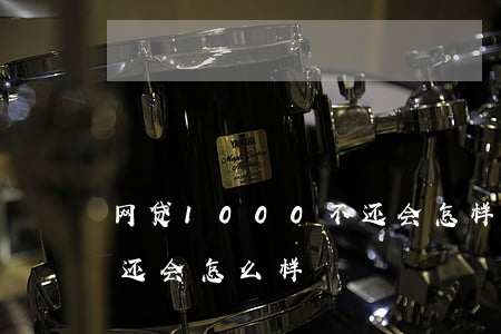 网贷1000不还会怎样(网贷1000元不还会怎么样)