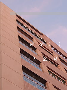 网贷1000不还后果(网贷2000不还会怎么样)