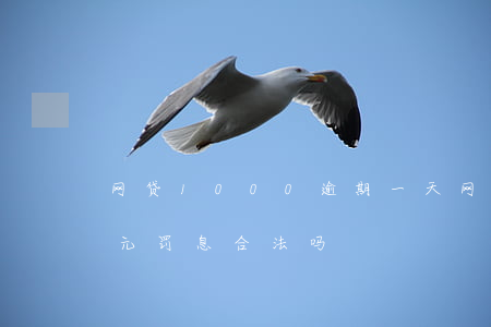 网贷1000逾期一天(网贷逾期一天100元罚息合法吗)