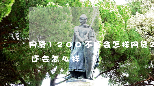 网贷1200不还会怎样(网贷20000不还会怎么样)