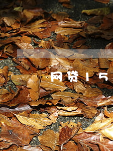 网贷1500还款成功短信截图-