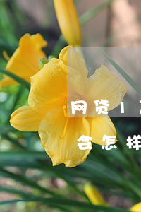 网贷1万逾期1年会怎样(网贷1万逾期1年会怎样)