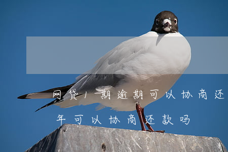 网贷1期逾期可以协商还款吗-网贷逾期两年可以协商还款吗