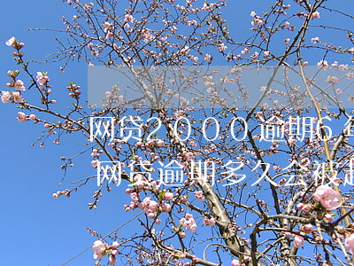 网贷2000逾期6年会被起诉吗(2000网贷逾期多久会被起诉)