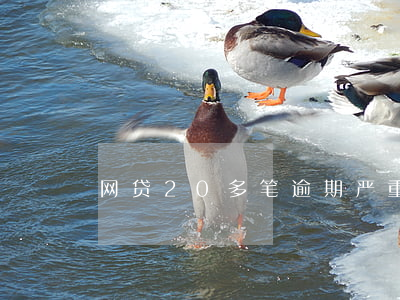 网贷20多笔逾期严重吗(网贷笔数多无逾期)