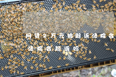 网贷2万元被起诉,法院会怎么审判（网贷二万法院会起诉吗）