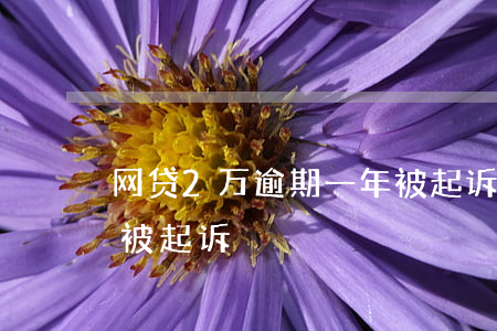 网贷2万逾期一年被起诉(网贷2万逾期一年被起诉)