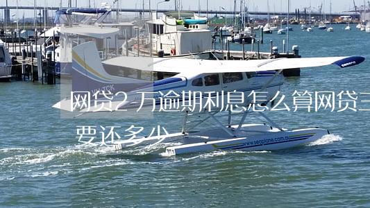 网贷2万逾期利息怎么算(网贷三千逾期两年要还多少)
