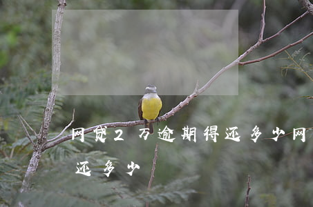 网贷2万逾期得还多少(网贷三千逾期两年要还多少)